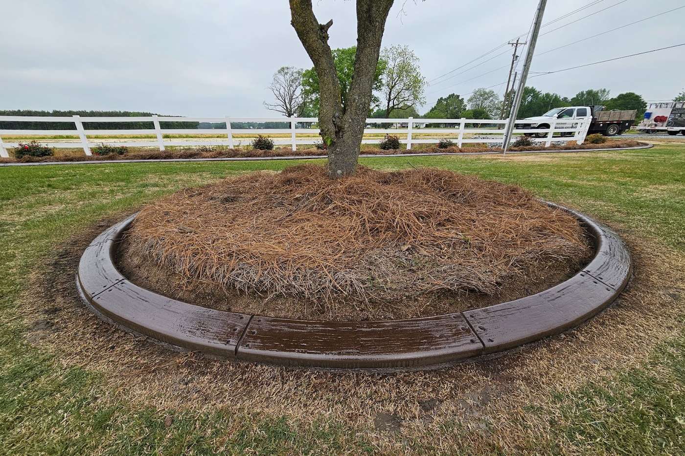 Wood-grain stamped concrete curbing forming a continuous ring around a mature tree on a North Carolina lawn